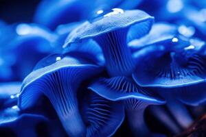 Blue macro pattern mushroom. Generate Ai photo