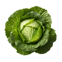 fresh cabbage on white background png