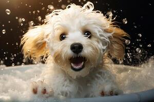 A Maltipoo's Relaxing Spa Time with Foam and Bubbles. Generative By Ai photo