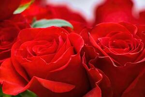 Bouquet of red roses in flower shop. photo