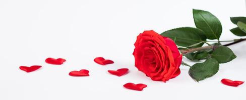 Red rose and hearts on a white background. Valentine's day greeting card. Place for your text. photo
