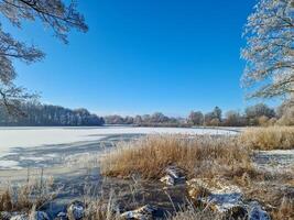 A snow covered frozen lake with icy reeds in the sunshine in the very north of Germany. photo