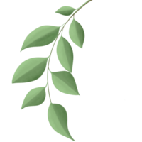 Greenery elements trees leaves.designed for digital use decoration, website, page and general digital work png