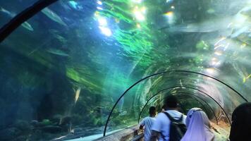 Jakarta, Indonesia - July 8, 2022 Visitors observe fish in a large aquarium at Seaworld, Ancol. Fish and coral like habitat in the sea. photo