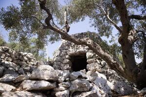 The Pajare of Salento photo