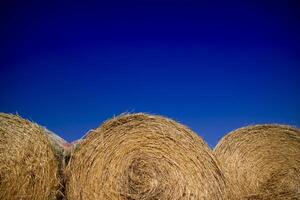 Straw pressed for animals photo