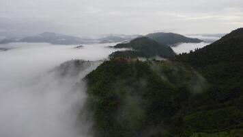 antenn se av de träd i de dal med dimma i de morgon. landskap av dimmig dal och berg moln i thailand. de gryning av de bergen med de hav av dimma. video