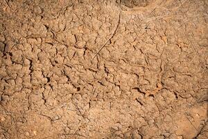 Crack soil dry season on sand background. photo