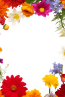 assorted flower decoration frame isolated on transparent background ,potrait flowers border clipart ,generative ai png