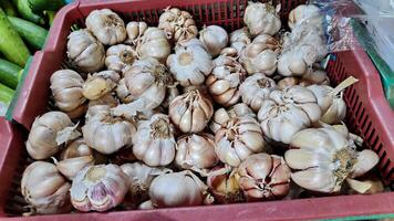 pila de algo de ajo en contenedores vendido en tradicional mercados foto