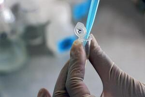 Different activities of PCR testing for virus recognition photo