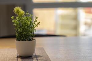 el plastico plantas en el mesa foto