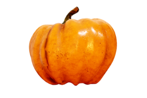 sur Halloween, citrouilles lueur de manière transparente contre le clair Contexte. png