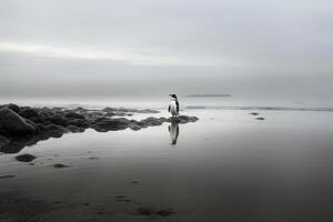 AI Generative Image of a penguin looking the ocean photo