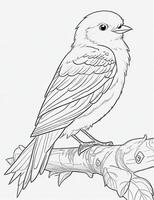 cute Bird for kids coloring page photo