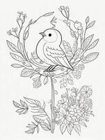 cute Bird for kids coloring page photo