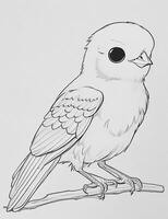 cute Bird for kids coloring page photo