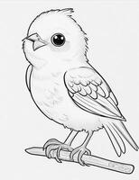 cute Bird for kids coloring page photo