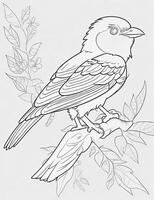 cute Bird for kids coloring page photo