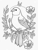 cute Bird for kids coloring page photo