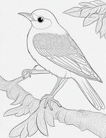 cute Bird for kids coloring page photo