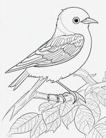 cute Bird for kids coloring page photo