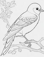 cute Bird for kids coloring page photo