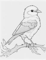 cute Bird for kids coloring page photo