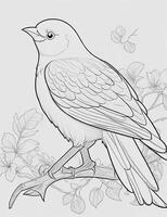 cute Bird for kids coloring page photo