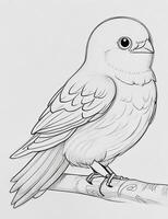 cute Bird for kids coloring page photo