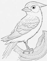 cute Bird for kids coloring page photo