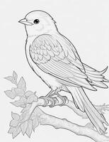 cute Bird for kids coloring page photo