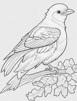 cute Bird for kids coloring page photo