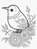 cute Bird for kids coloring page photo