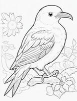 cute Bird for kids coloring page photo