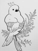 cute Bird for kids coloring page photo