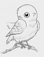 cute Bird for kids coloring page photo