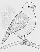 cute Bird for kids coloring page photo