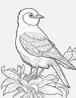 cute Bird for kids coloring page photo