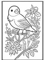 cute Bird for kids coloring page photo