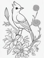 cute Bird for kids coloring page photo