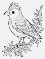 cute Bird for kids coloring page photo