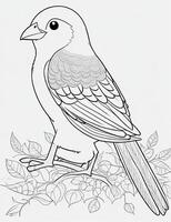 cute Bird for kids coloring page photo