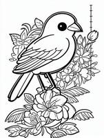 cute Bird for kids coloring page photo