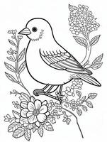 cute Bird for kids coloring page photo