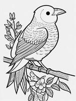 cute Bird for kids coloring page photo