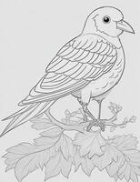 cute Bird for kids coloring page photo