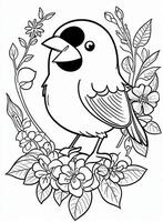 cute Bird for kids coloring page photo