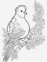 cute Bird for kids coloring page photo