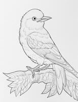 cute Bird for kids coloring page photo